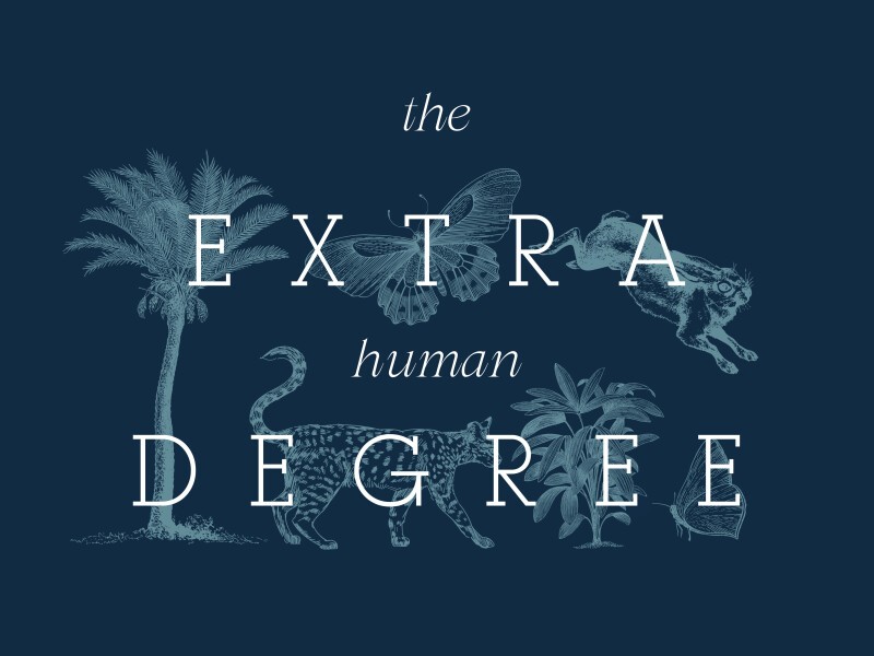 Visuel de marque Takaneo : la signature « the extra human degree » entourée d'illustrations de faune et de flore sur fond bleu nuit