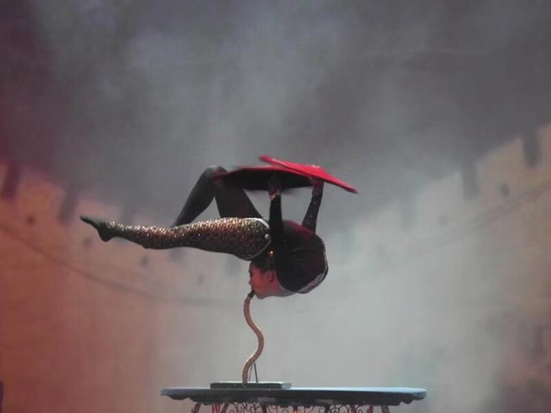 Folie Royale