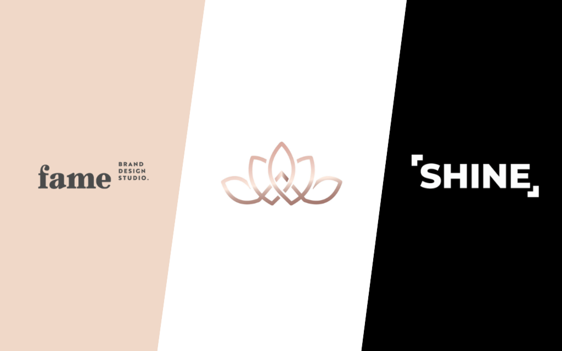 Folie Royale, Fame Studio et Shine rejoignent la MarkCom
